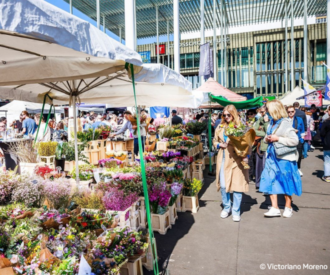 Ontdek onze culinaire gids voor daguitstappen in Vlaanderen